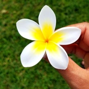 Meet your Posher, Yesmin